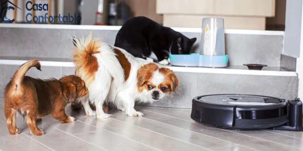 Roomba I7 Perros y gatos