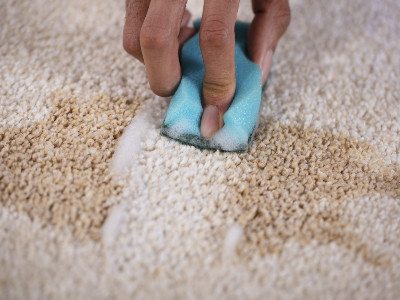 Limpiar alfombra con estropajo